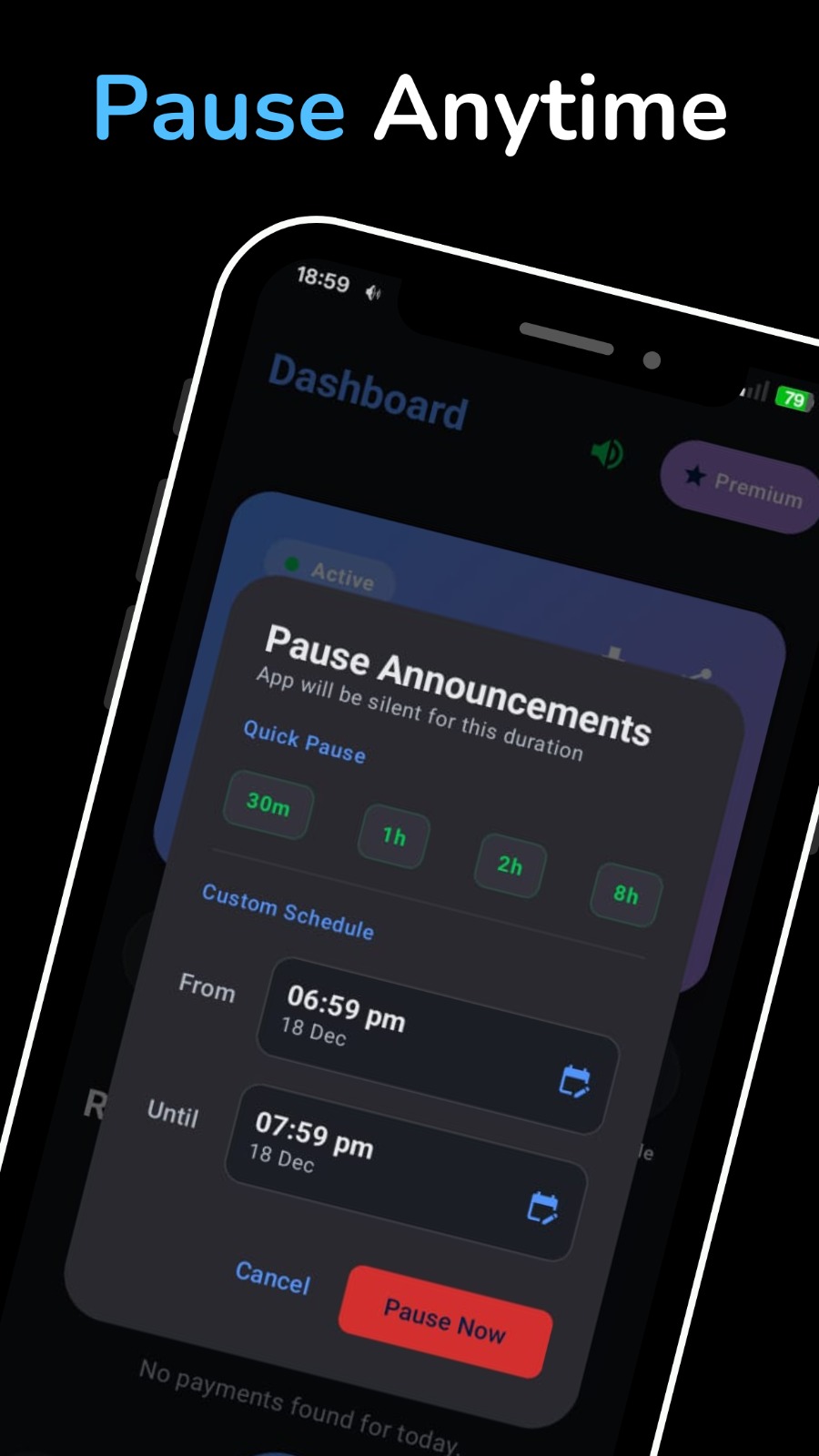Pause Anytime screenshot